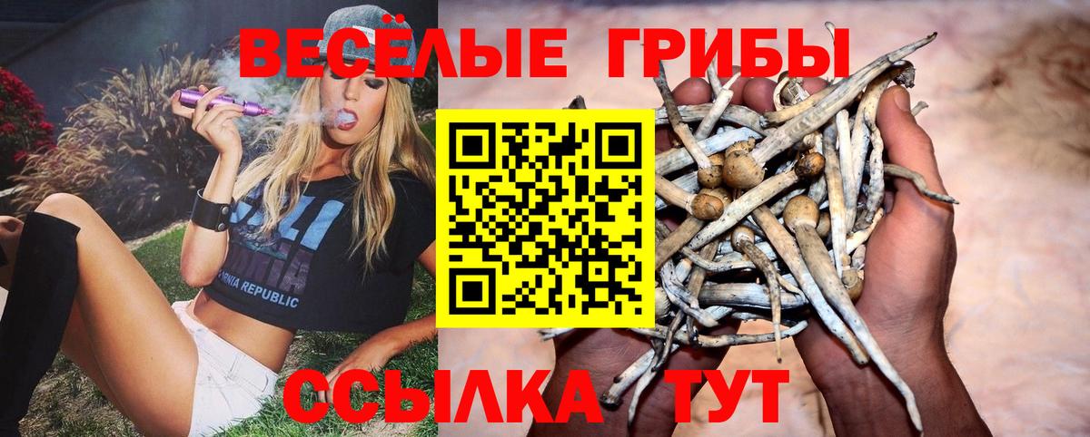Псилоцибиновые грибы Magic Shrooms Советская Гавань