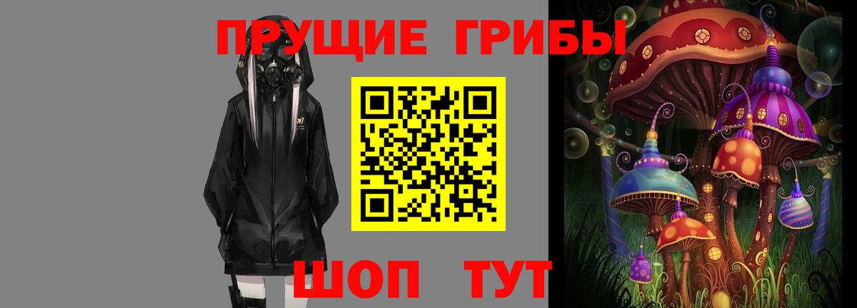 что такое наркотик  Вход с VPN  Галлюциногенные грибы ЛСД  Советская Гавань  Псилоцибиновые грибы Psilocybe 